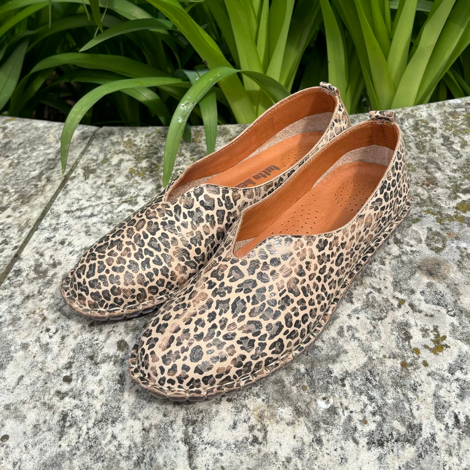 Tutto Bene YK7 ocelot balerina cipő - Image 2