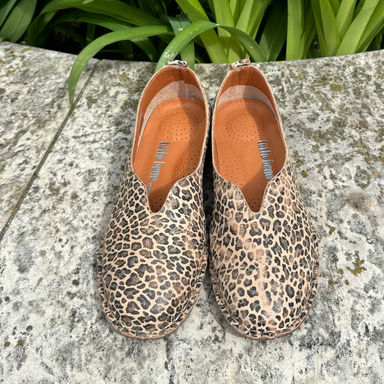 Tutto Bene YK7 ocelot balerina cipő - Image 3