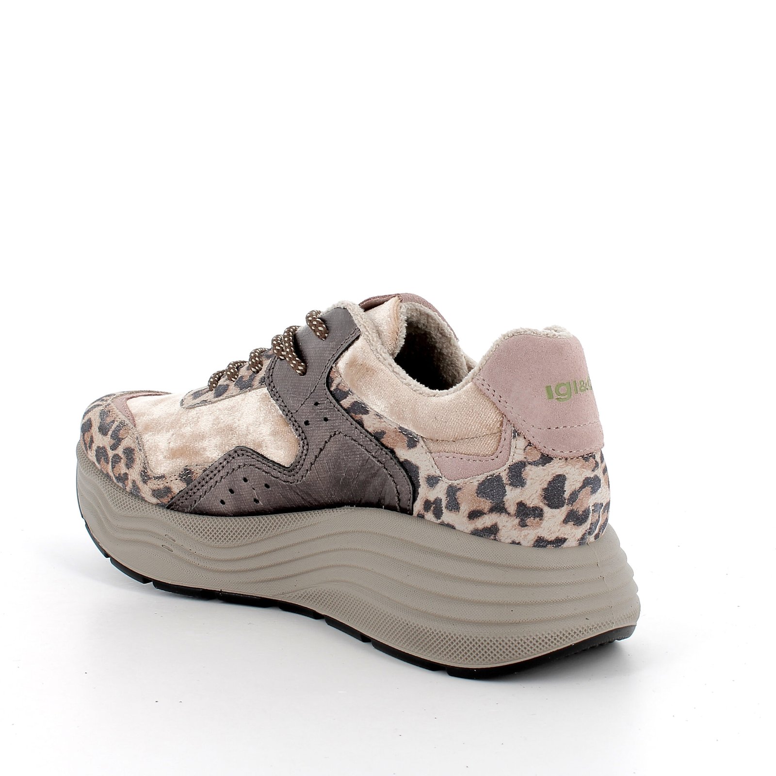 IgI&CO 8682644 bézs-ocelot sneaker - Image 2