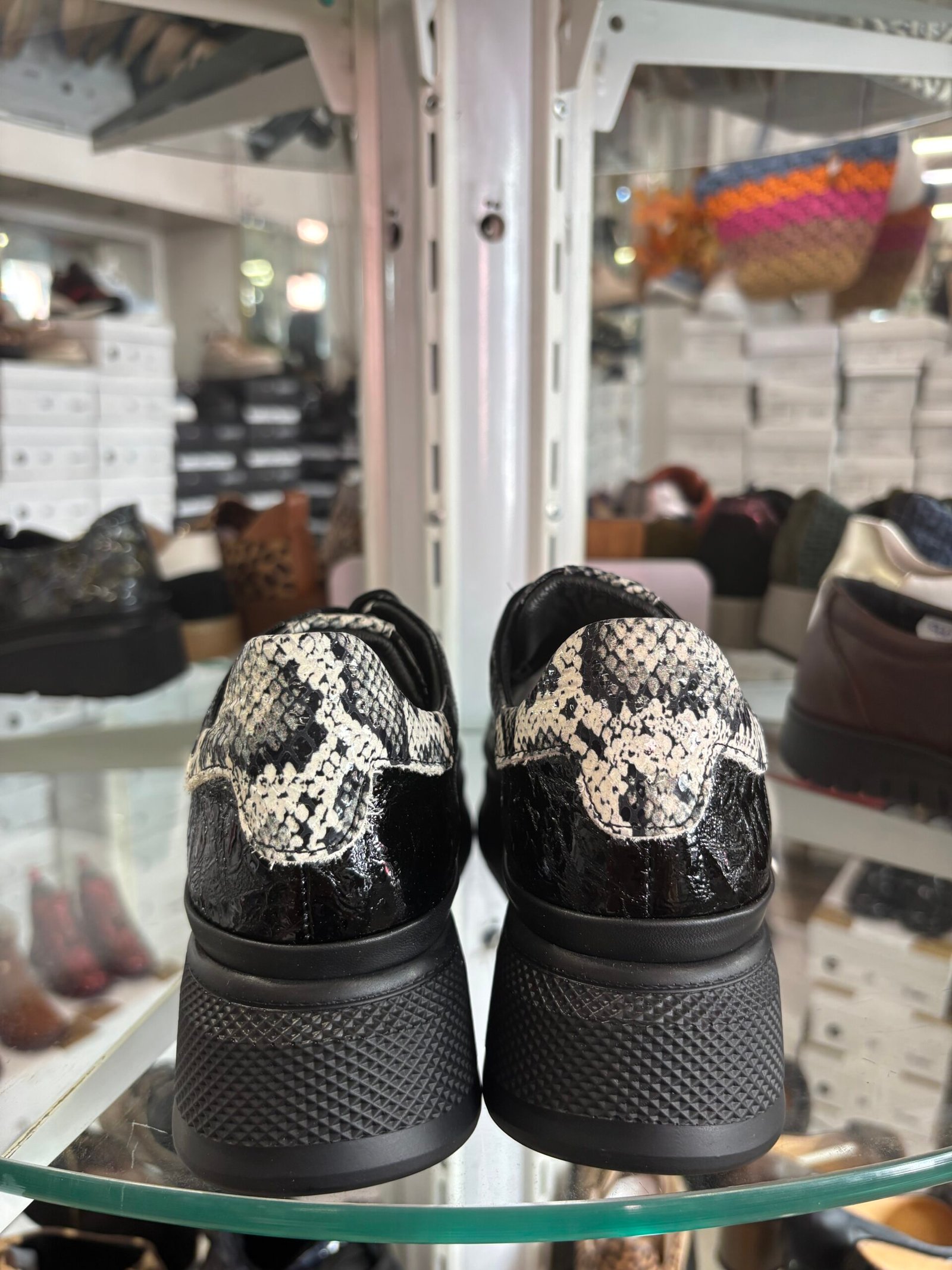 Tutto Bene 404-16 fekete-kígyó sneaker - Image 2